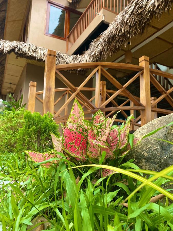 Lemon Tree Homestay Tam Coc Ninh Bình Extérieur photo
