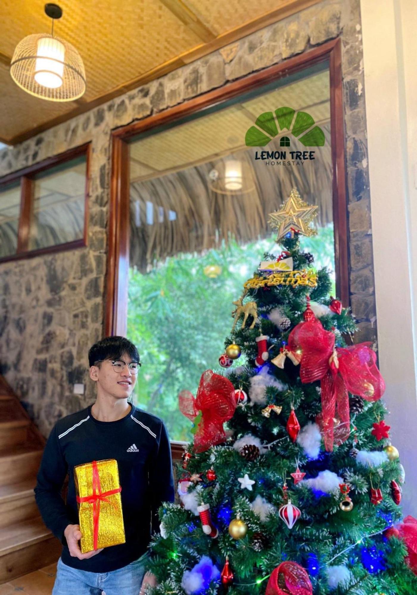Lemon Tree Homestay Tam Coc Ninh Bình Extérieur photo