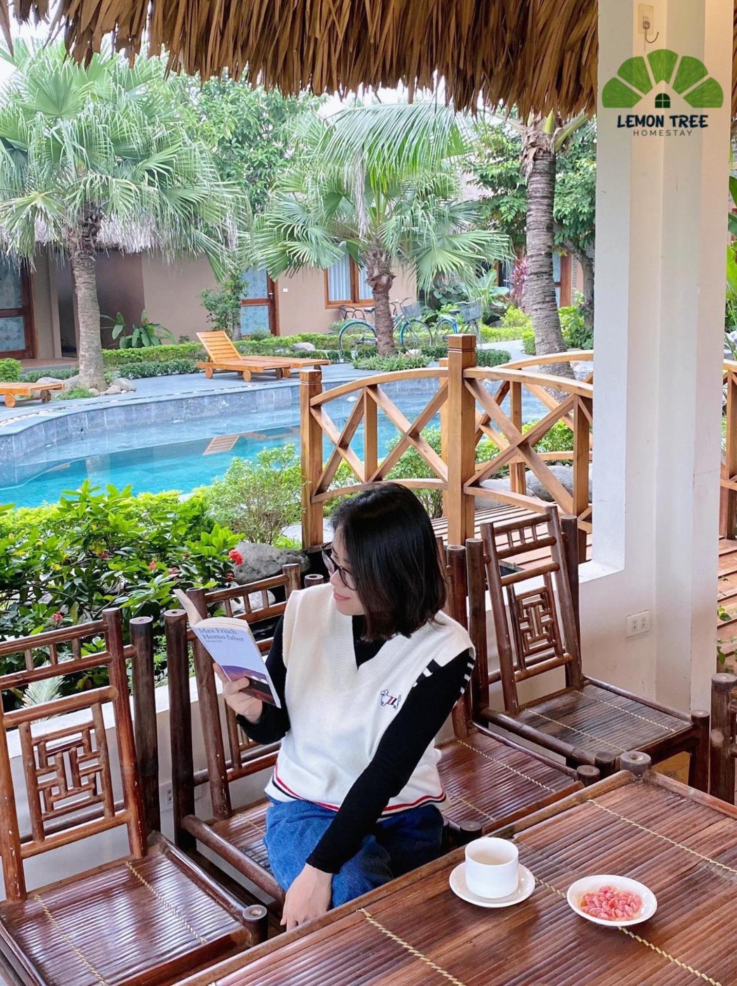 Lemon Tree Homestay Tam Coc Ninh Bình Extérieur photo