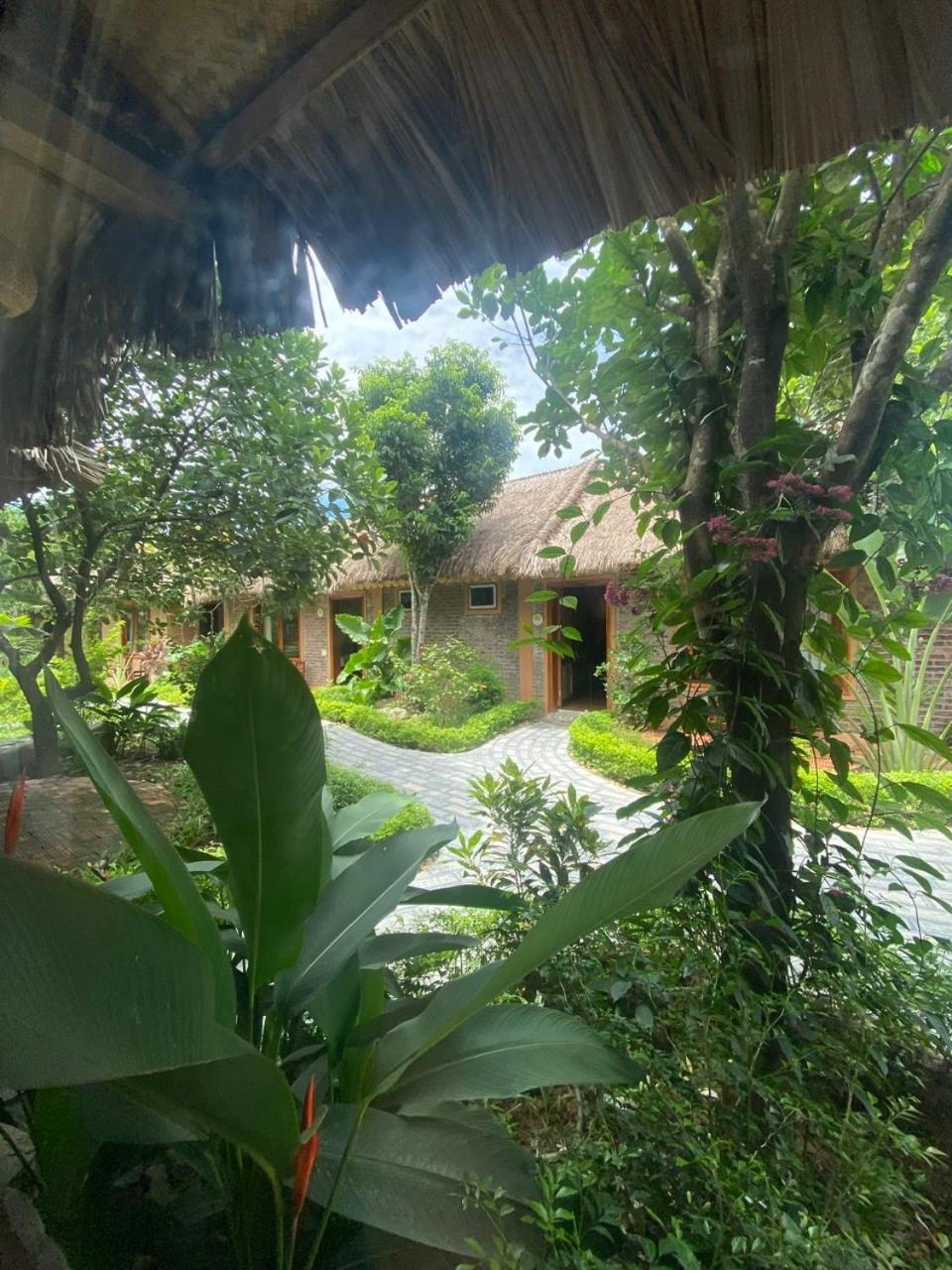 Lemon Tree Homestay Tam Coc Ninh Bình Extérieur photo